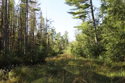 0000 Sand Lake Road, Stone Lake, WI 54876 - Photo 39