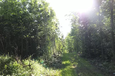 0000 Sand Lake Road, Stone Lake, WI 54876 - Photo 19