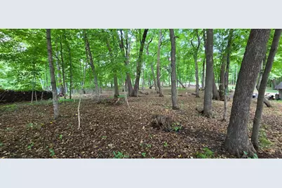 Xxxxx Tall Timbers Road SW, Garfield, MN 56332 - Photo 9