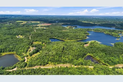 260th Emery, Erhard, MN 56534 - Photo 5