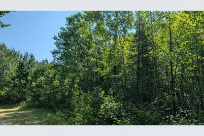 Tbd Kennedy Rd, Cook, MN 55723 - Photo 3