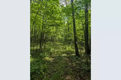 36962 560th Avenue N, New York Mills, MN 56567 - Photo 1