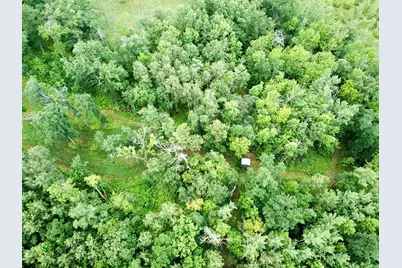 46758 S Pine Lake Road, Gonvick, MN 56644 - Photo 9