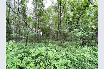 46758 S Pine Lake Road, Gonvick, MN 56644 - Photo 31