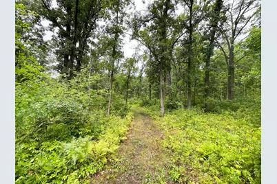 46758 S Pine Lake Road, Gonvick, MN 56644 - Photo 39