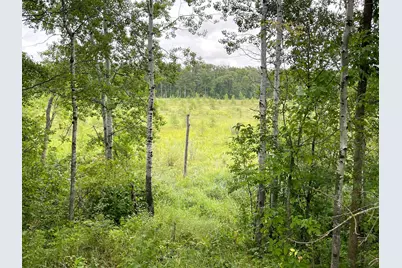 46758 S Pine Lake Road, Gonvick, MN 56644 - Photo 27