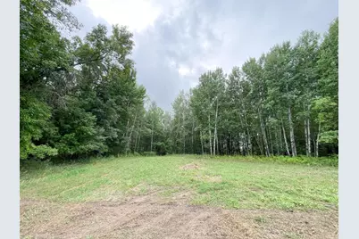 46758 S Pine Lake Road, Gonvick, MN 56644 - Photo 29