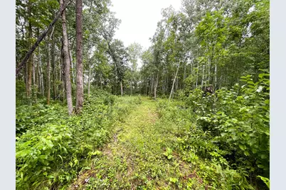 46758 S Pine Lake Road, Gonvick, MN 56644 - Photo 43