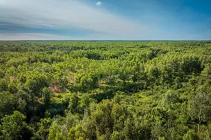 64680 Creekview Ln, Sandstone, MN 55072 - Photo 79