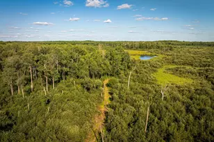 64680 Creekview Ln, Sandstone, MN 55072 - Photo 83