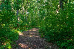 64680 Creekview Ln, Sandstone, MN 55072 - Photo 37