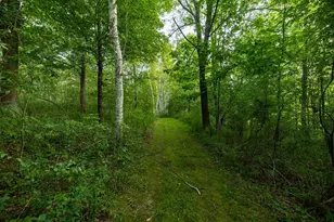 33324 155th Ave, Boyd, WI 54726 - Photo 73