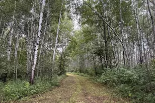 Tbd County Road 12, Kettle River, MN 55767 - Photo 1