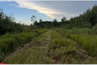 Tbd County Road 12, Kettle River, MN 55767 - Photo 31