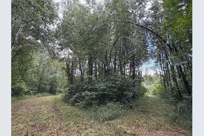 Tbd County Road 12, Kettle River, MN 55767 - Photo 9