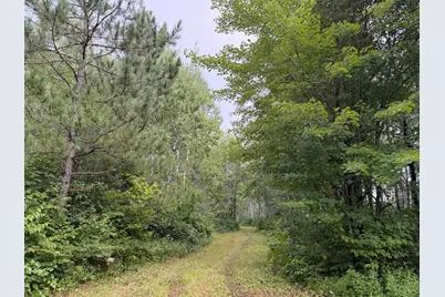 Tbd County Road 12, Kettle River, MN 55767 - Photo 23