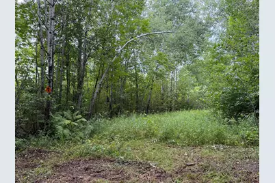 Tbd County Road 12, Kettle River, MN 55767 - Photo 21