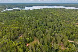 23917 County Road 53, Bigfork, MN 56628 - Photo 5