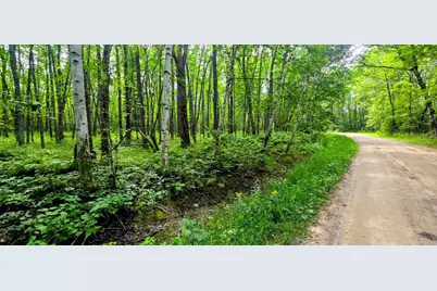 Tbd Dawson Road NW, Angle Inlet, MN 56711 - Photo 5