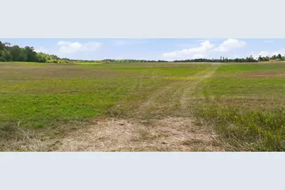 10 Acres State Hwy 40, Bruce, WI 54819 - Photo 5