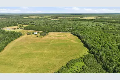10 Acres State Hwy 40, Bruce, WI 54819 - Photo 13