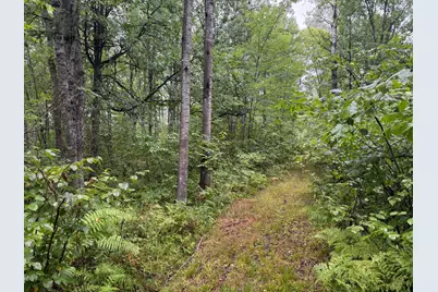 17001 White Spruce Road, Finlayson, MN 55735 - Photo 43