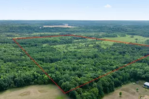 Tbd Azalea Rd, Motley, MN 56466 - Photo 1
