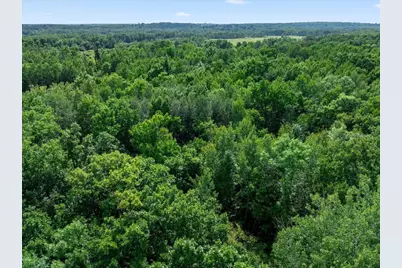 Tbd Azalea Road, Motley, MN 56466 - Photo 13