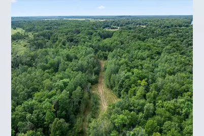 Tbd Azalea Road, Motley, MN 56466 - Photo 3