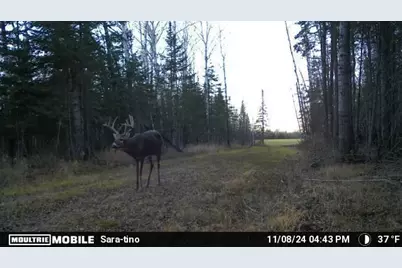 Tbd Arkola Road, Toivola, MN 55765 - Photo 19
