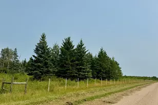 26571 260th St, Badger, MN 56714 - Photo 7