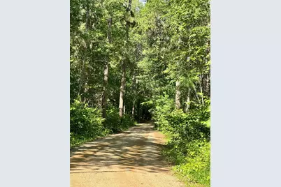 Tbd Glacial Ridge Trail, Nevis, MN 56467 - Photo 5