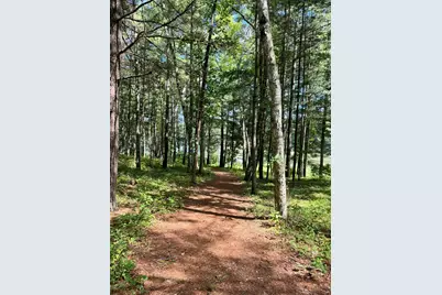 Tbd Glacial Ridge Trail, Nevis, MN 56467 - Photo 11