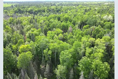 Lot 1 Smith Road N, Couderay, WI 54828 - Photo 13