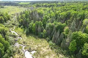Lot 1 Smith Road N, Couderay, WI 54828 - Photo 1