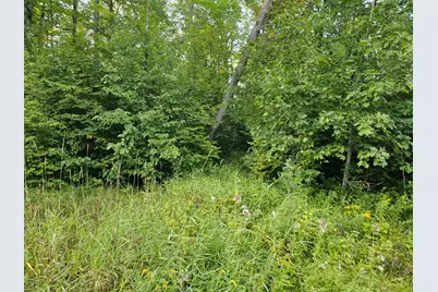 Lot 3 Woodlands Road, Aitkin, MN 56431 - Photo 5