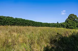 38798 County Road 2, Saint Joseph, MN 56374 - Photo 97