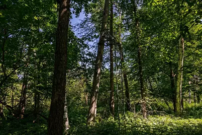 38798 County Road 2, Saint Joseph, MN 56374 - Photo 91