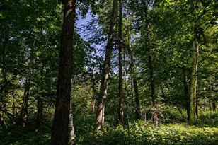 38798 County Road 2, Saint Joseph, MN 56374 - Photo 91