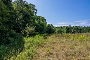 38798 County Road 2, Saint Joseph, MN 56374 - Photo 79