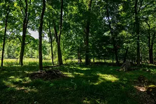 38798 County Road 2, Saint Joseph, MN 56374 - Photo 93