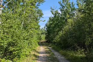 Tbd Kennedy Rd, Cook, MN 55723 - Photo 1