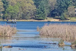 Tbd NE West Fawn Lake Rd, Stacy, MN 55079 - Photo 1