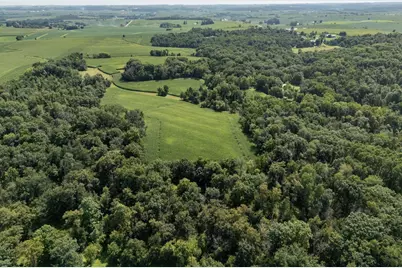 Tbd Deer Rd, Canton, MN 55922 - Photo 5