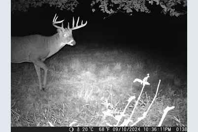 Tbd Deer Rd, Canton, MN 55922 - Photo 13