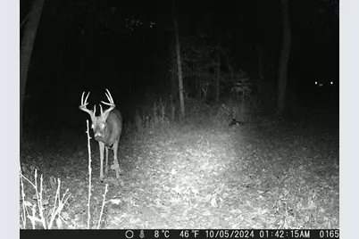 Tbd Deer Rd, Canton, MN 55922 - Photo 11