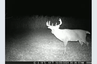 Tbd Deer Rd, Canton, MN 55922 - Photo 15