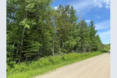 Lot 1 Parameter Road, Deer River, MN 56636 - Photo 7