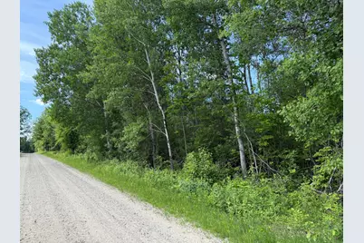 Lot 1 Parameter Road, Deer River, MN 56636 - Photo 9