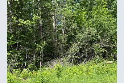 Lot 2 Parameter Road, Deer River, MN 56636 - Photo 7